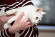 © hakase420 - 飼い主に抱かれている白い猫