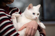 © hakase420 - 飼い主に抱かれている白い猫