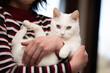 © hakase420 - 飼い主に抱かれている白い猫