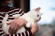 © hakase420 - 飼い主に抱かれている白い猫