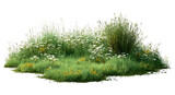 Isolated wildflower patch, lush summer meadow blooms, tall grass plants, scenic herbal groundcover