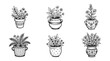 © gunzexx png and bg - flower pot, Hand-drawn outline doodle sketches vector set collection , white background , PNG and SVG isolate