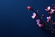 © pham - 春の青い背景に桜の枝