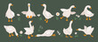 © Olena - Cute geese. White geese or ducks and wildflowers. Agriculture, birds farm. Rural wildlife. Silly goose for greeting, invitation cards, baby shower, Easter, nursery, t-shirt prints. Vector illustration
