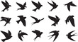 © Md - A collection of fifteen unique black silhouette illustrations of birds flying in various positions