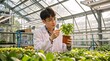 © Vasiliy - Asian male botanist examining a potted plant in a modern greenhouse. Agricultural scientist wearing a lab coat inspecting crop growth under LED lights