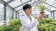 © Vasiliy - Agricultural researcher inspecting a potted plant in a glass greenhouse. Asian male scientist in a lab coat observing plant growth. Botany and horticulture concept