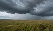 © Mustafa Shabbir - Dramatic storm clouds over a grassy field during rainfall.