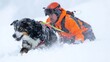 © TheGoldTiger - Rescue dog and handler working in deep snow during a blizzard