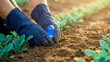 © CK Studio - Hands with gloves planting a glowing blue device near seedlings in soil, symbolizing smart farming, environmental monitoring, and agricultural technology for sustainable growth.