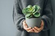 © Sulaihatin - Person holding small potted succulent plant.