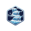 © PUTRI - Hexagonal Logo with Three Cascading Waterfalls and Rocky Landscape on Isolated White Background