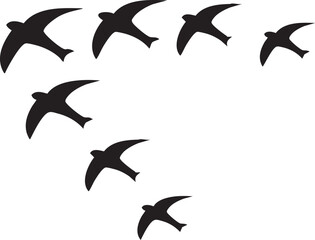  Flying Bird Icons Set, Bird Silhouette Icons Collection, Minimal Bird Vector Icons , Bird Logo Icons Set, Black Bird Silhouette Vector Set