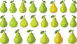 © HELEN QUEEN - Green pear fruit collection with different shapes and shades. Fresh organic pears icon set for healthy food, grocery, dessert and natural fruit design.