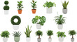 © VactorZone - Potted houseplant collection set, flat vector illustration of various indoor plants and greenery for home decor.