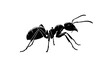 © Antika - black ant silhouette insect