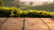 © decorator - Serene morning light graces a rustic table amidst a peaceful tea plantation landscape