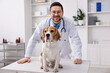 © New Africa - Smiling veterinarian in medical coat and glasses with cute dog at light wooden table in clinic