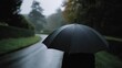 © GATE 22 - Person holding a black umbrella in the rain. the person is standing on a wet road, with trees and bushes on either side. the sky is grey and cloudy, and the raindrops are visible on the umbrella.