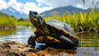 © gtaxx - A turtle stands on a muddy shore with water and mountains