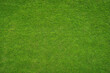 © Igor Link - green grass texture - well-groomed turf in the garden