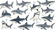 © MdGohurul - Comprehensive hand drawn vector illustration set of predatory sharks in various swimming and attacking poses with bubbles for marine wildlife ocean nature designs.