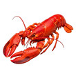 © CreativeVista - A vibrant red lobster with large claws and a long segmented tail