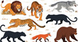© MstSuborna - Wild Animal Collection Featuring Lion, Tiger, Wolf, Leopard, Panther, Fox, and Bear in Flat Vector Style for Wildlife Illustration and Nature Design Projects.