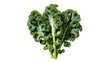 © Aline - Isolated fresh green kale leaves raw organic vegetable healthy food ingredient closeup studio shot