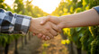 © Devika - two people shaking hands in a sun-drenched vineyard at golden hour symbolizing partnership and a sustainable agriculture deal
