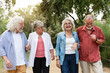 © EFStock - Happy senior friends walking together in park enjoying retirement lifestyle and friendship