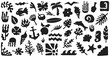 © WinWin - Tropical ocean symbol set, abstract marine silhouettes, boho summer icons. Branding, logo, sticker, packaging, surf shop, beach club, coastal decor assets. Vector illustration.