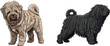 © Aditya - Hungarian Puli dog standing side profile facing front pose set