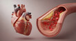 © MST - Human heart organ next to a cross section of a clogged artery showing plaque and red blood cells