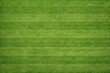 © Viktoryia - Aerial view of striped green grass texture. Perfect seamless stadium pitch background, freshly mowed lawn with horizontal lines for soccer, football, and golf course design