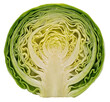 © Asif - A detailed cross section of a fresh green cabbage showing the intricate layers of internal leaves isolated on transparent background