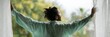 © Andrii Zastrozhnov - Young african man back view opening curtains panoramic window morning male adult serene stretch