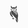 © Isniyah - Stylized owl illustration against white background for graphic design