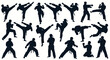 © happy - Martial Arts Silhouette Collection: Dynamic Karate and Taekwondo Poses