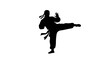 © Darul - Martial Arts Fighter Silhouette Kicking