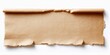 © antishock - Torn paper strip rests upon white surface. Rough edges suggest age, fragility. Simple texture dominates composition.