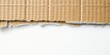 © antishock - Corrugated cardboard torn edge over white surface. Simple texture, neutral tones, minimal composition. Focus on material contrast.