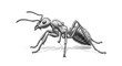 © Rinku - Detailed illustration of an ant in side view presented on transparent background