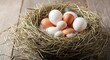 © Hasaranga - Close-up view of a serene bird's nest with eggs on a wooden surface, capturing nature's quiet simplicity