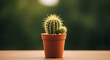 © Eiti - A small potted cactus plant sits on a table indoors with greenery.