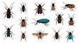 © MS - Detailed vector illustration of various beetle and insect species including different colors and patterns on a plain white background.