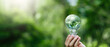 © Deemerwha studio - Green energy and renewable energy concept, environmental sustainability, eco friendly technology, global warming solution. Hand holding light bulb with green world globe inside on nature background.