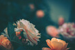 © joeycheung - Floral Composition with Vintage Setting