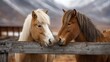 © mila103 - Two horses nuzzling at wooden fence in mountain farm