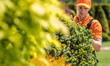 © Tomasz Zajda - Gardener Trims Bushes in a Park During the Daytime